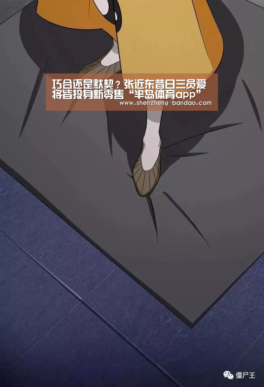 半岛体育app